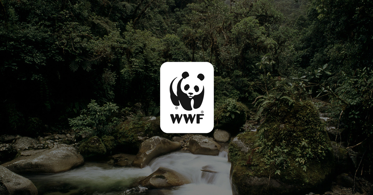 wwf-pakistan-gives-new-meaning-to-green-card-marketing-magazine-asia