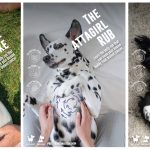 Perromart launches the Belly Rub Cancer Check-Up  to detect breast cancer in dogs with BBDO Singapore