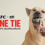 World's first “KFC BONE TIE” Bow-Wow Snack is here! An International Dog Day like no other…It’s Paw Lickin’ Good.