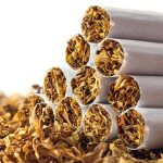 cigarettes in loose tobacco, close up against white