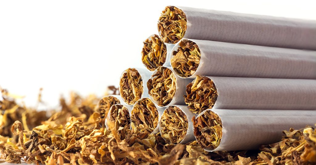 cigarettes in loose tobacco, close up against white