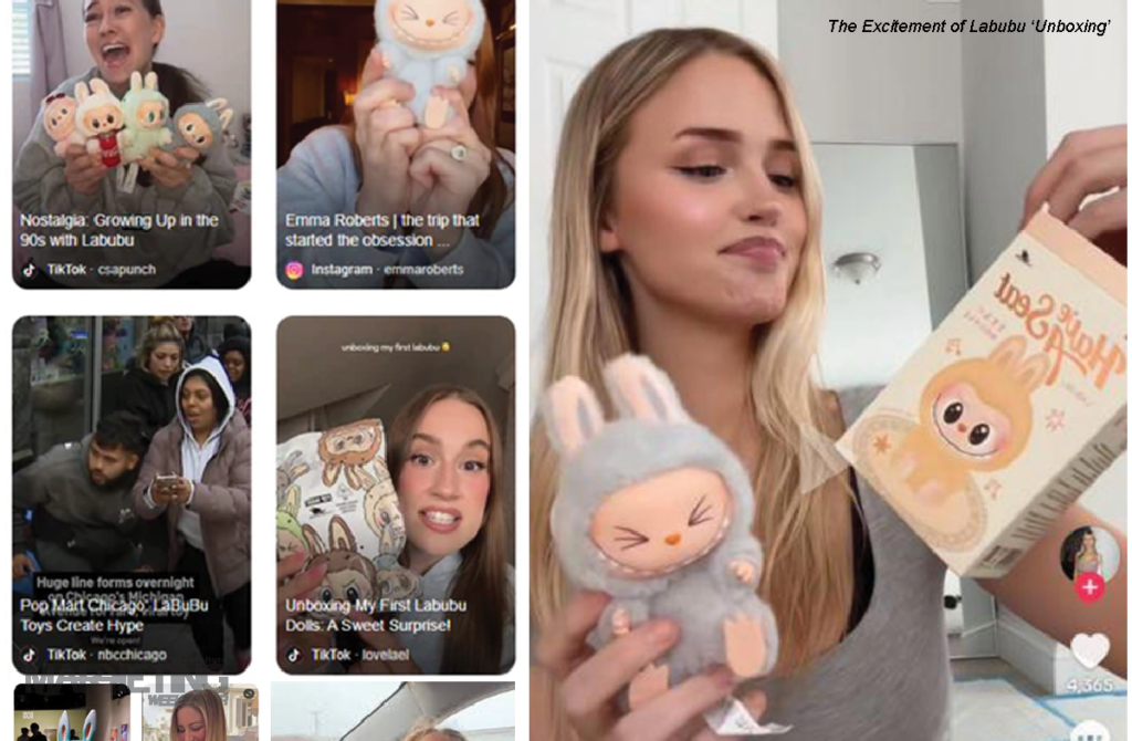 BN13 1 | 4 Things Every Marketer Must Learn From Labubu