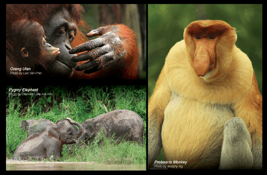 BN6 | From Destination to Discovery: Sabah’s New Chapter in Tourism