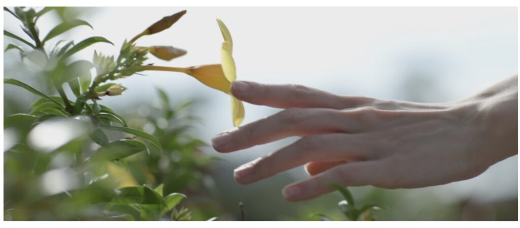 Screenshot 2026 03 13 at 16.10.52 | Ampersand Advisory celebrates International Women’s Day with Sup Daging, A Spine-Chilling Short Film created by its young talent, shot with Canon