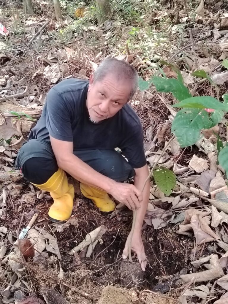 The Photographer Who Stopped Shooting People and Started Growing a Forest 3 21444ccb 5715 403d b52c 408617d3a082 | The Photographer Who Stopped Shooting People and Started Growing a Forest