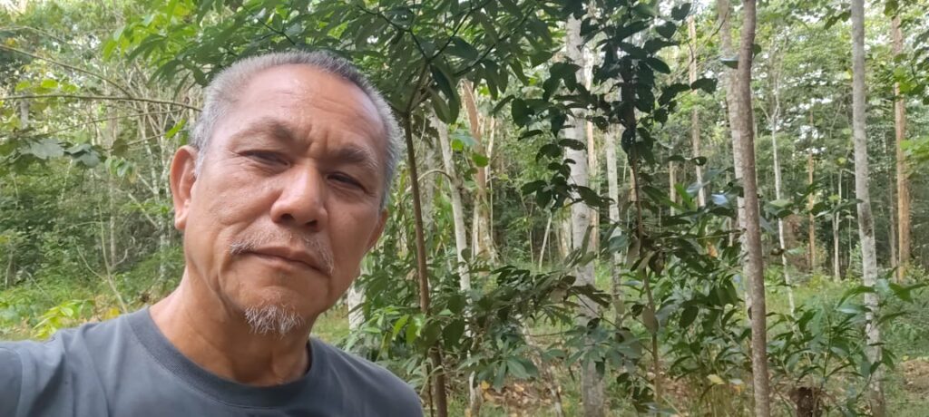 The Photographer Who Stopped Shooting People and Started Growing a Forest 1 92329785 99f6 441f b35a 123dea855aff 1 | The Photographer Who Stopped Shooting People and Started Growing a Forest