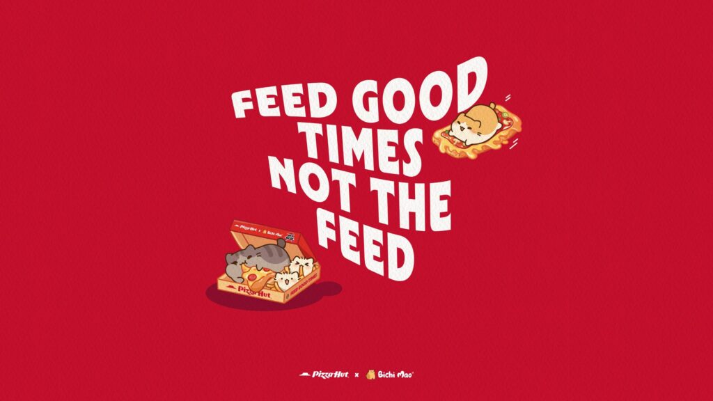 Malaysia’s Most-Famous Internet Cat Just Told Gen-Z to Log Off ; and Pizza Hut Is Feeding Them to Do It 2 bichi mao desktop 4 | Malaysia’s Most-Famous Internet Cat Just Told Gen-Z to Log Off ; and Pizza Hut Is Feeding Them to Do It